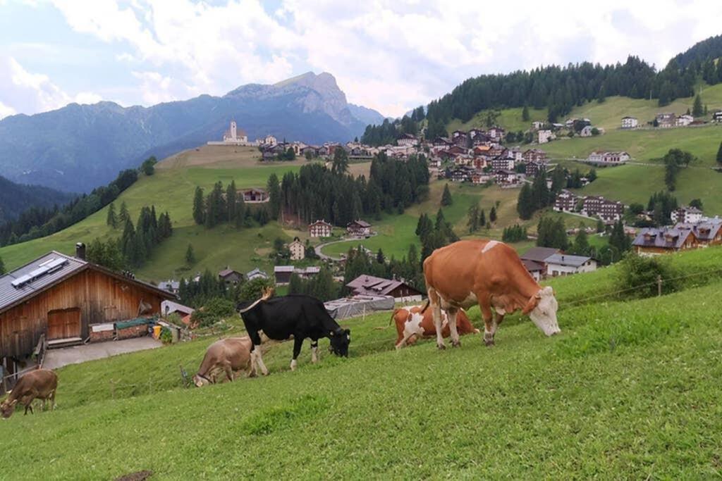 App Col Di Lana - Agriturismo La Majon Da Col กอลเล ซานตา ลูเชีย ภายนอก รูปภาพ